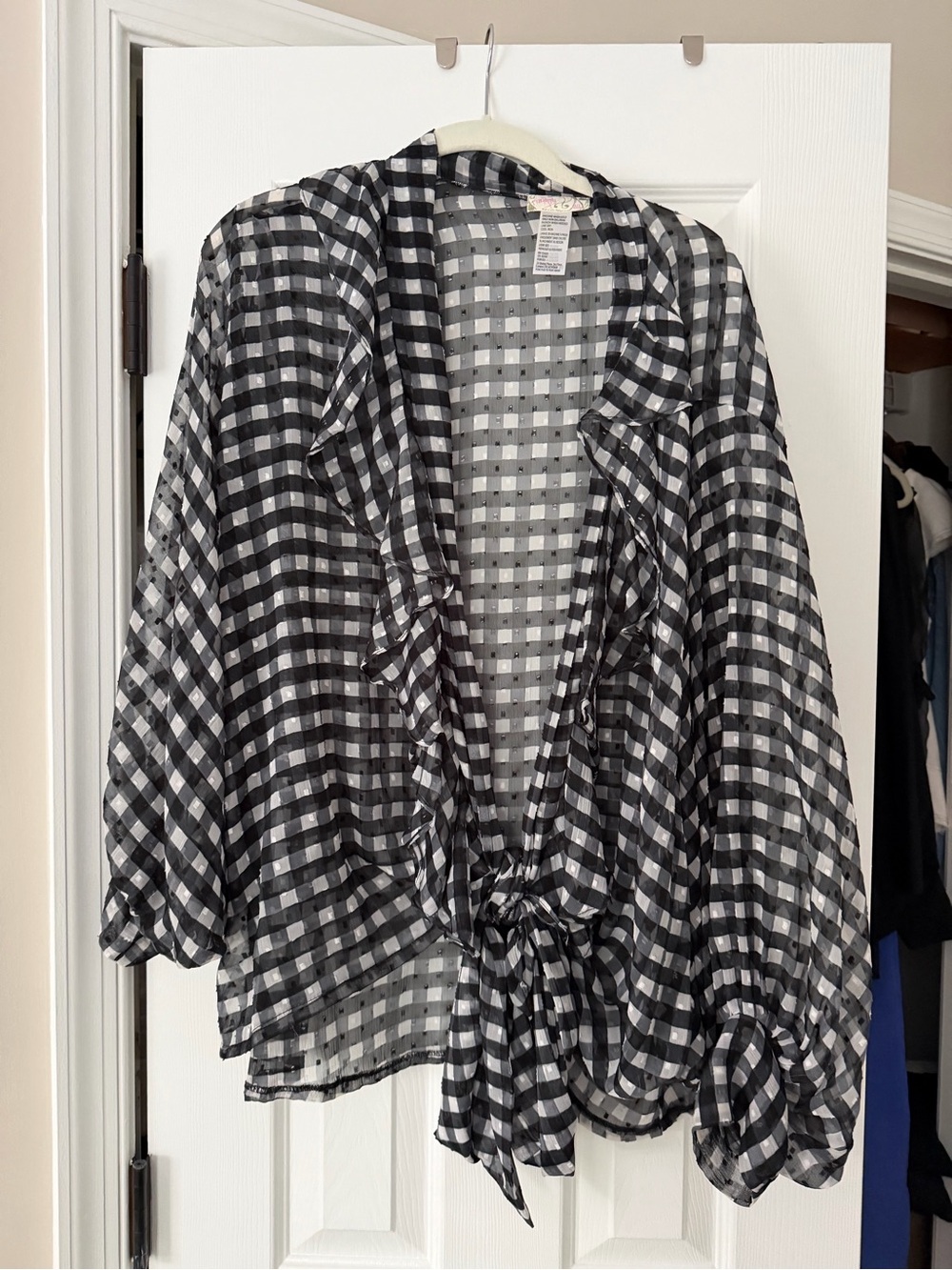 Free People Black and White Gingham Sheer Blouse